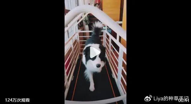 现任女友喊话前妻，这是今年最尴尬的官宣？(图8)