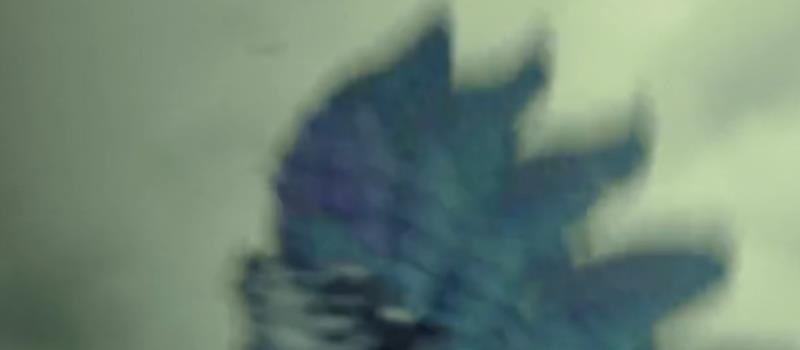 又一部《封神》上映，41岁姚笛演少女妲己被群嘲，日票房仅97.2万(图2)