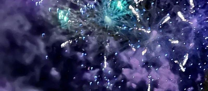 内卷25年，贝克汉姆夫妇放弃鸡娃：靠儿子养老就是等死！(图33)