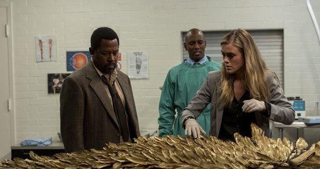 ​《思维笼》，超诡谲的悬疑惊悚电影，杀人魔将死者扮成黄金天使(图2)