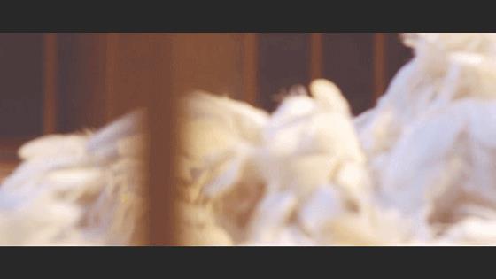 张柏芝《无极》的，用倾国倾城来形容也不为过(图5)