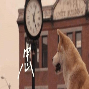 电影《忠犬八公》观后感