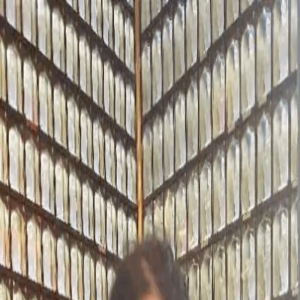 胡慧中在寺庙自拍，美颜后五官变样彻底认不出，穿蕾丝装嫩不得体